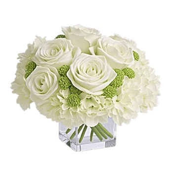 Serene Petal Harmony