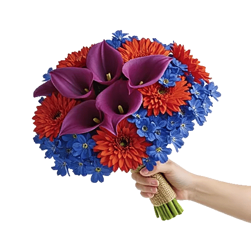 Elegant Calla Lilies