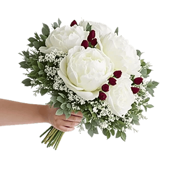 Peony Petal Harmony