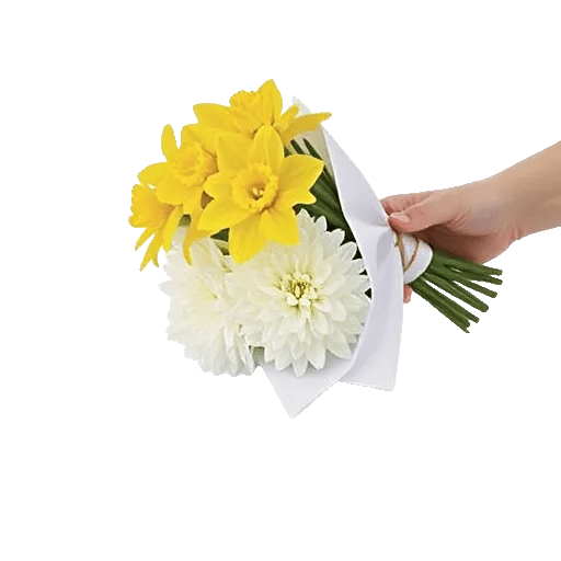 Blossom Harmony Display