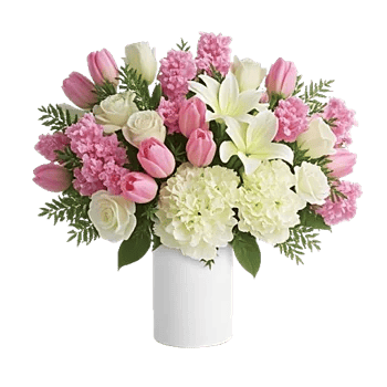 Velvet Tulip Display