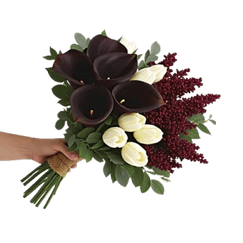 Elegant Calla Lilies