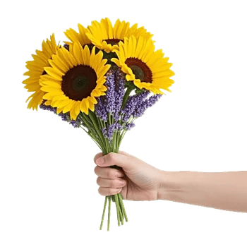 Twinkling Sunflower Dance