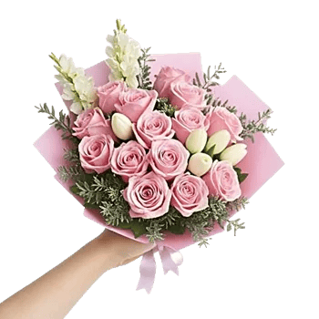 Pastel Pink Roses