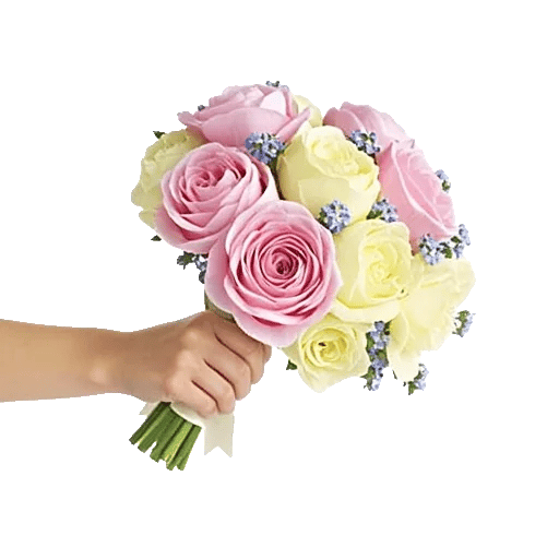 Delicate Petal Cascade