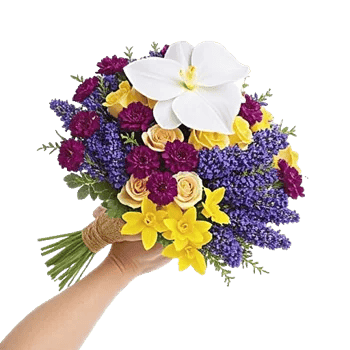 Minimalist White Orchids