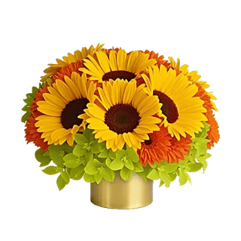 Radiant Bloom Cascade