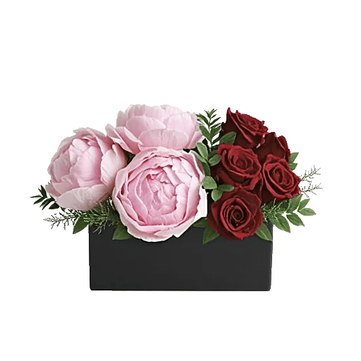 Peony Petal Harmony