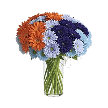 Radiant Bloom Cascade