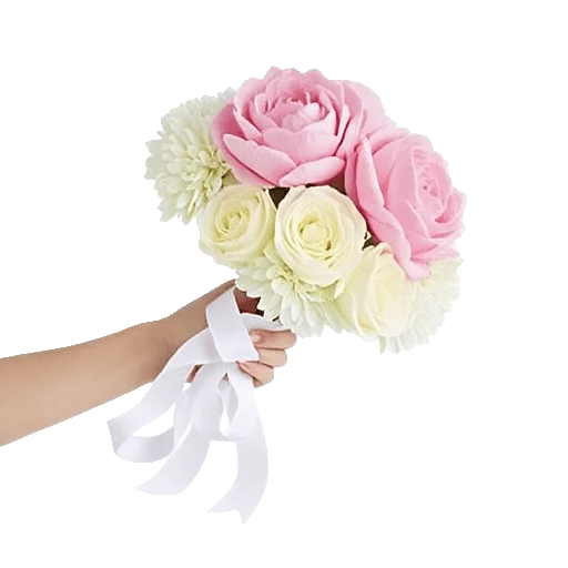 Peony Petal Harmony