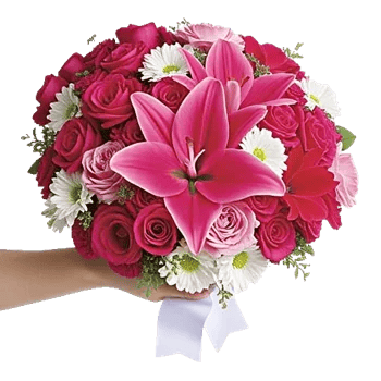 Blushing Rose Symphony