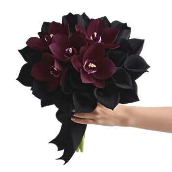 Modern White Orchids