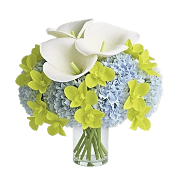 Elegant Calla Lilies