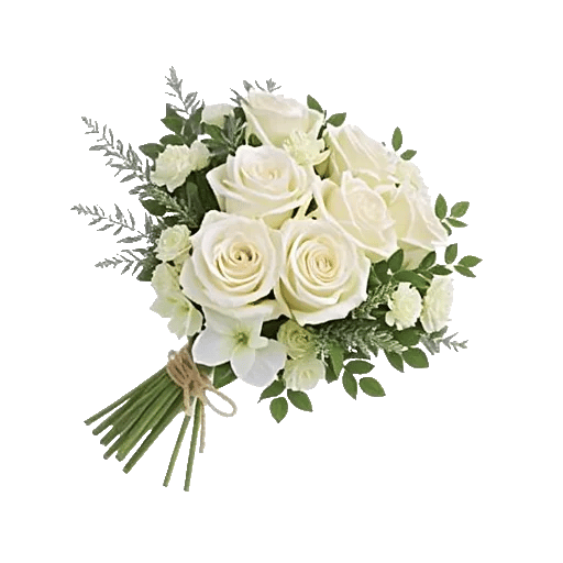 Ivory Garden Grace