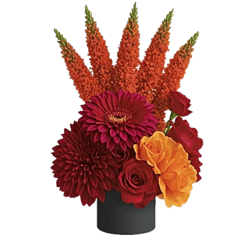 Crimson Blossom Harmony