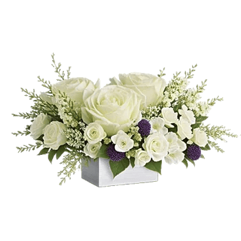 Delicate Petal Cascade