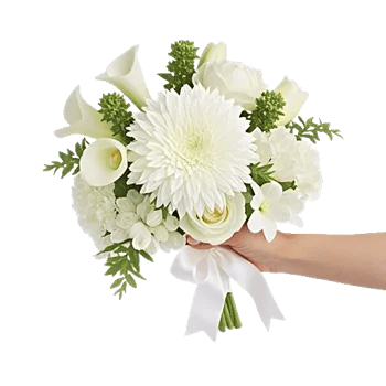 Modern White Orchids