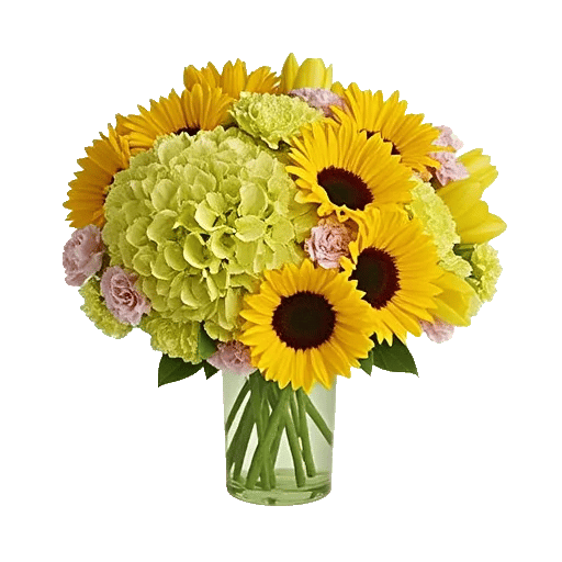 Radiant Bloom Cascade