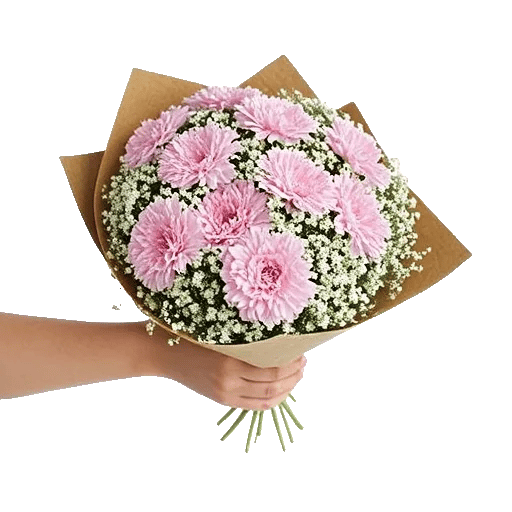 Pastel Pink Roses