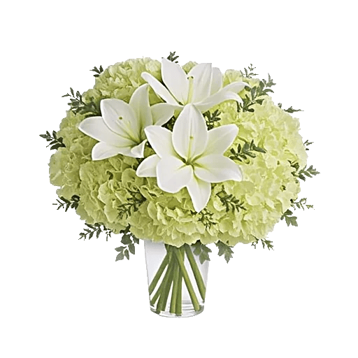 Ivory Blossom Radiance