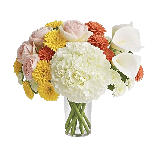 Ivory Blossom Radiance