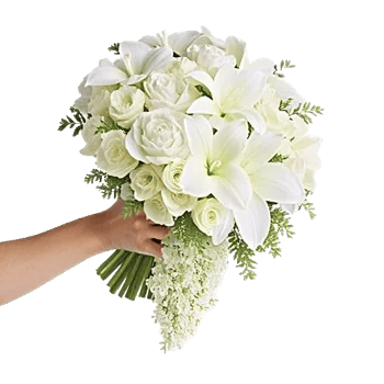 Orchid Bloom Cascade