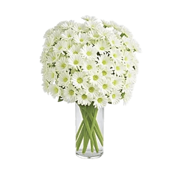 Delicate Petal Cascade