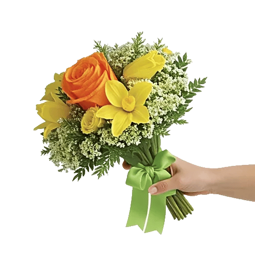 Blushing Rose Symphony