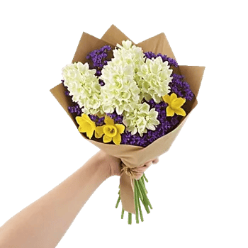 Blossom Harmony Display