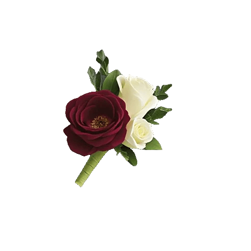 Delicate Petal Cascade