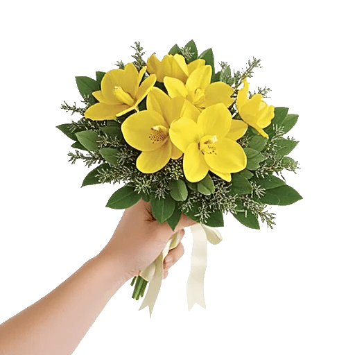 Minimalist White Orchids