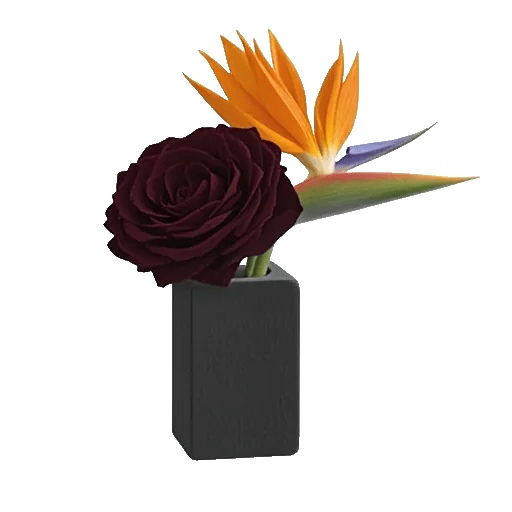 Modern White Orchids