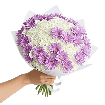 Delicate Petal Cascade