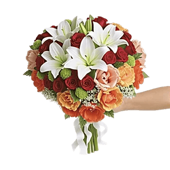 Delicate Petal Cascade