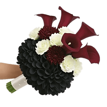 Elegant Calla Lilies