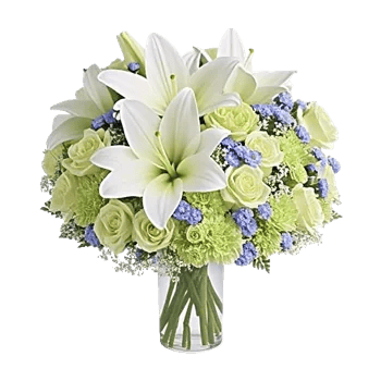 Ivory Blossom Radiance