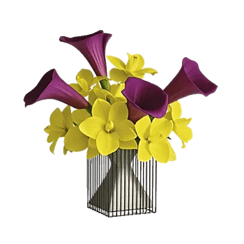 Elegant Calla Lilies