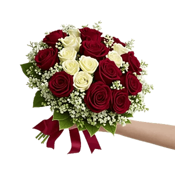 Crimson Rose Elegance