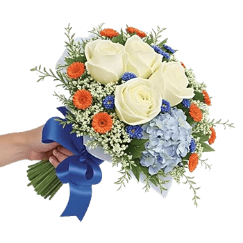 Serene Petal Harmony