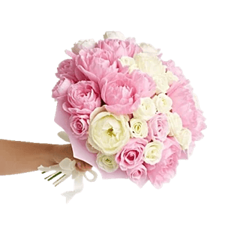 Peony Petal Harmony