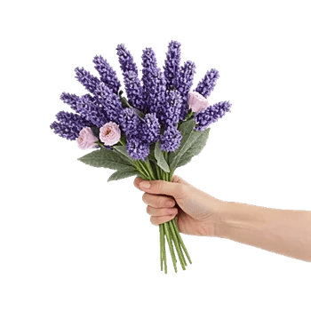 Lavender Bloom Grace