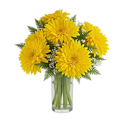 Petal Radiance Bliss