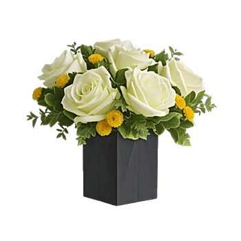 Ivory Blossom Radiance