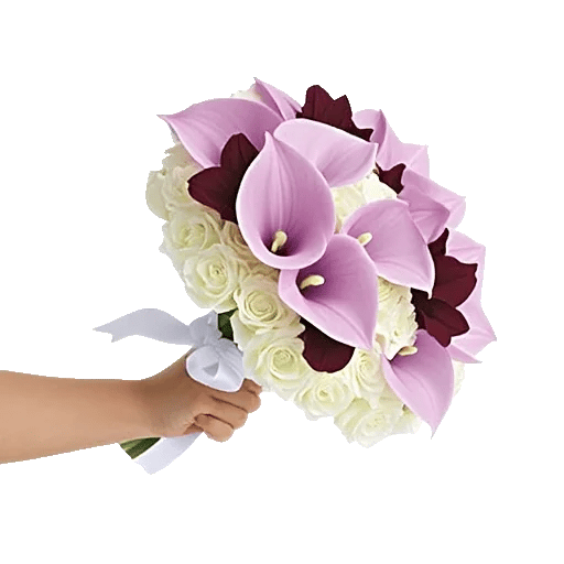 Elegant Calla Lilies