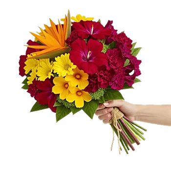 Radiant Bloom Cascade