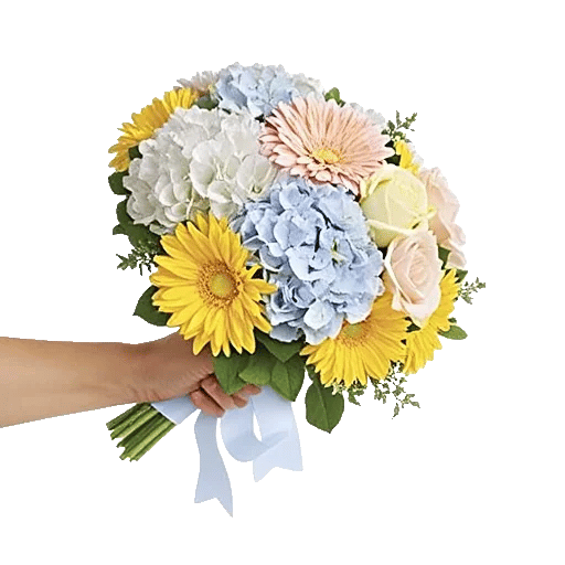 Sapphire Bloom Whisper