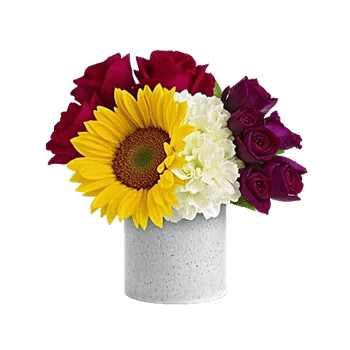 Petal Radiance Bliss