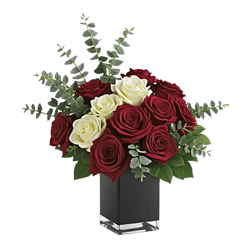 Crimson Rose Elegance