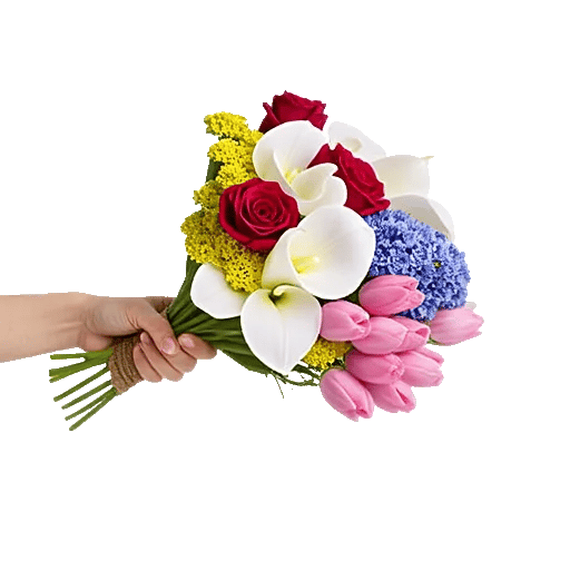 Crimson Rose Elegance