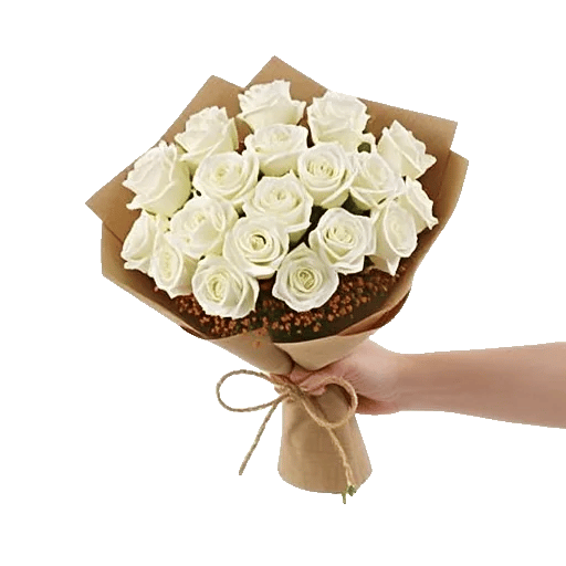 Blushing Rose Symphony